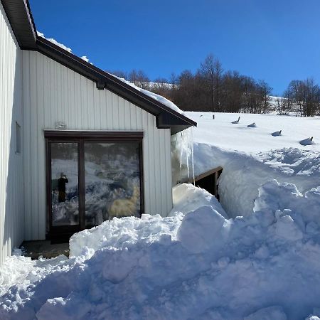 Blackberry House Zabljak Žabljak Exterior foto