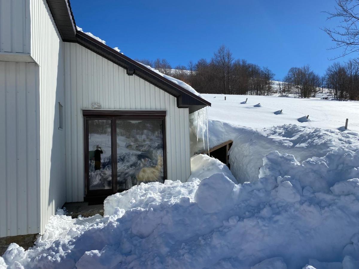 Blackberry House Zabljak Žabljak Exterior foto